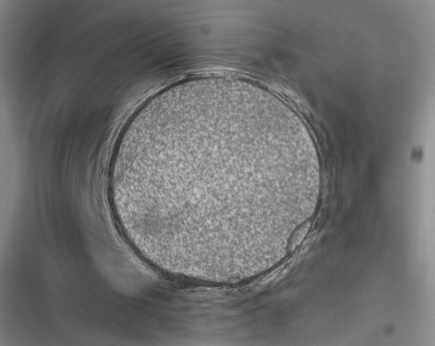 X0000116890049201001121352