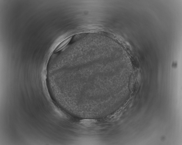 X0000116890051201001121352