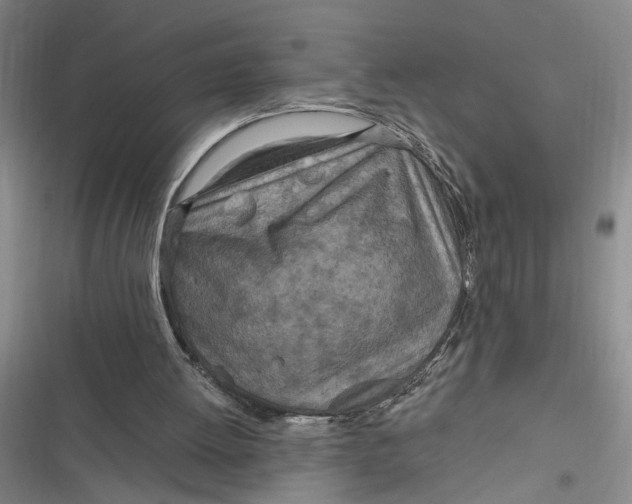 X0000116890052201001121352