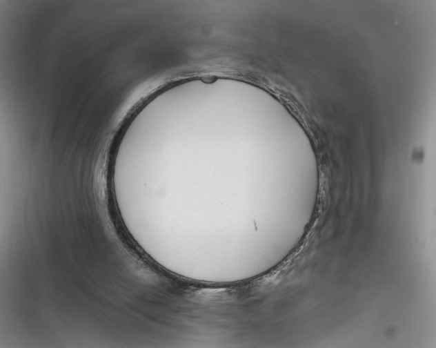 X0000116890054201001121352