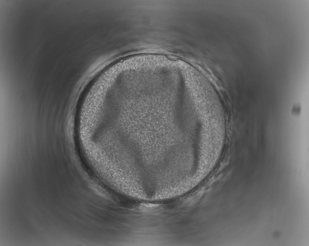 X0000116890055201001121352