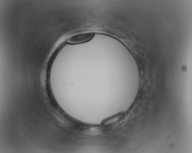 X0000116890056201001121352