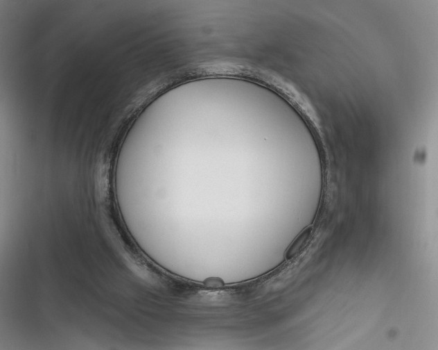 X0000116890057201001121352