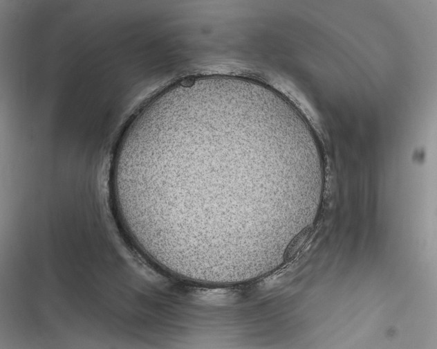 X0000116890058201001121352