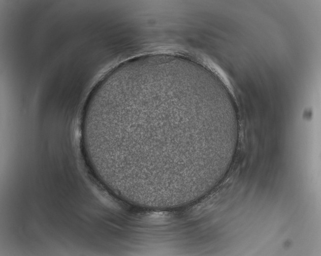 X0000116890059201001121352