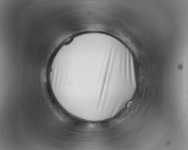 X0000116890060201001121352