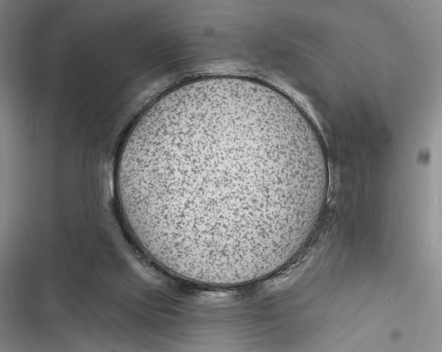 X0000116890061201001121352