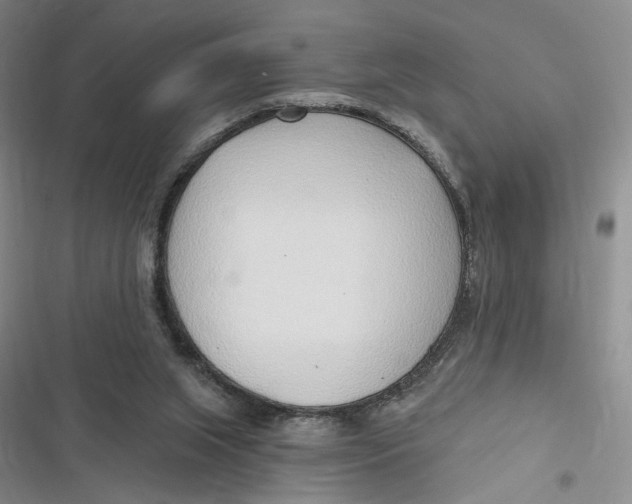 X0000116890063201001121352