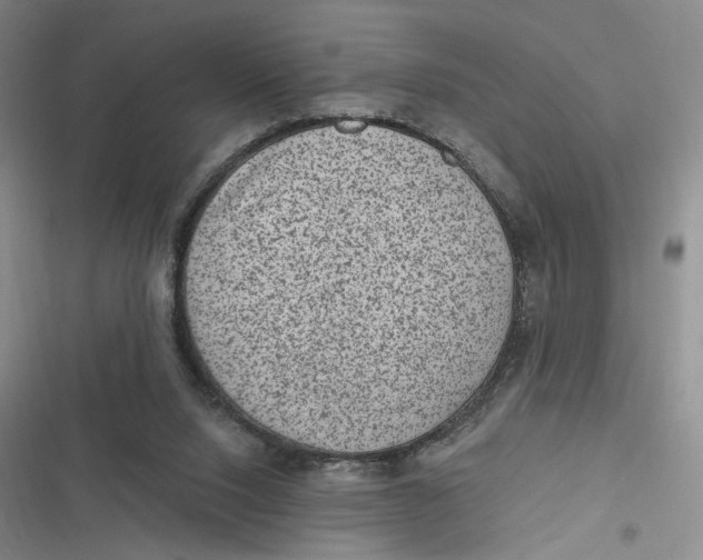 X0000116890064201001121352