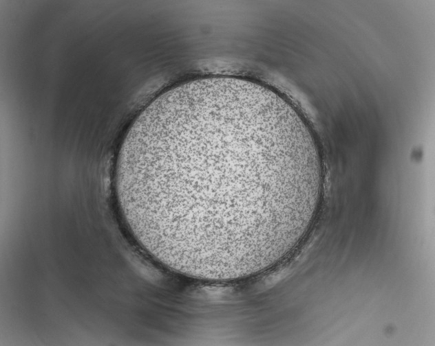 X0000116890065201001121352