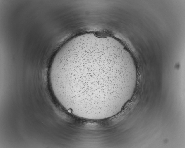 X0000116890066201001121352