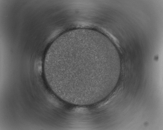 X0000116890067201001121352