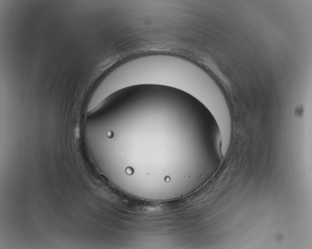 X0000116890068201001121352