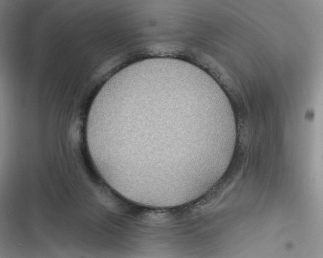 X0000116890071201001121352