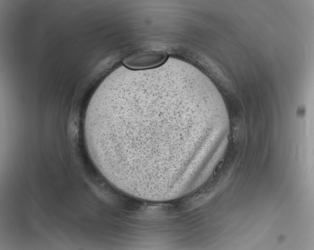 X0000116890072201001121352