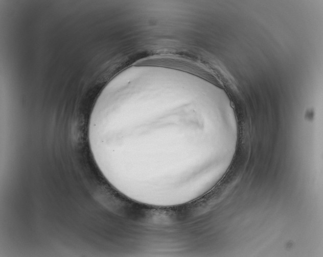 X0000116890073201001121352