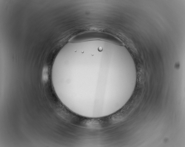 X0000116890075201001121352