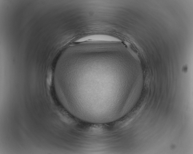 X0000116890076201001121352