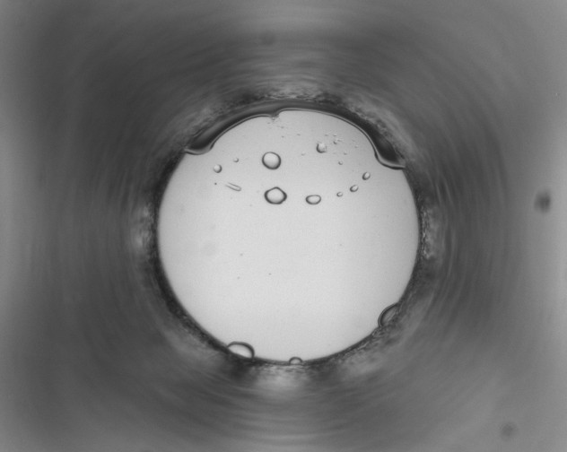 X0000116890077201001121352