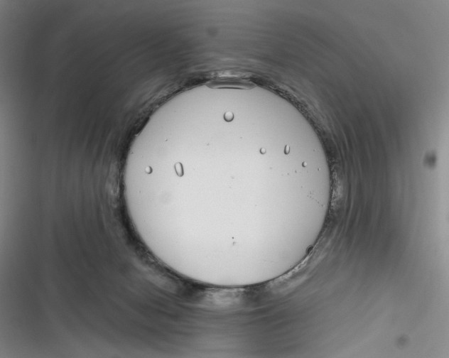 X0000116890078201001121352