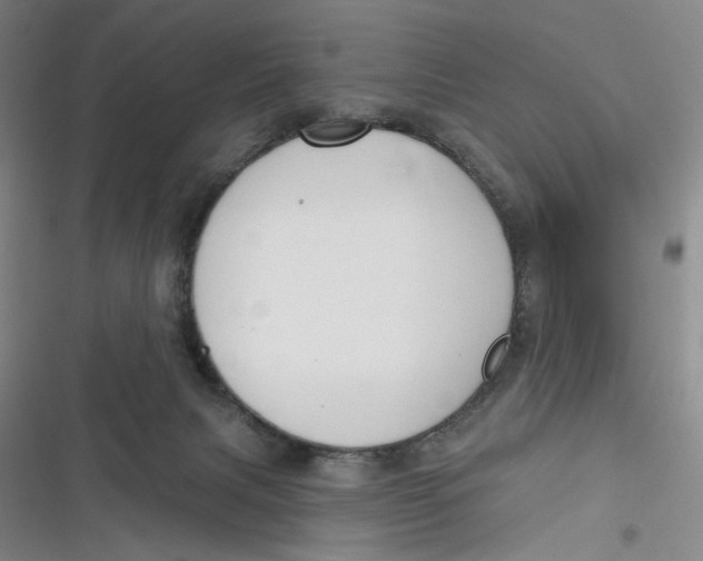 X0000116890079201001121352