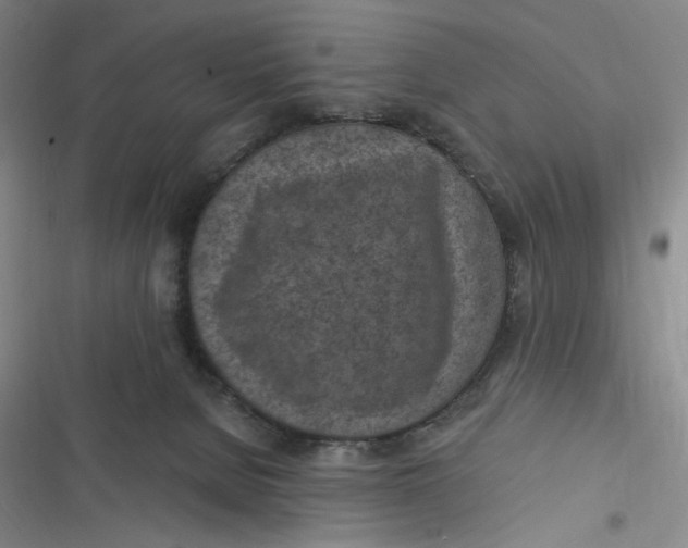 X0000116890080201001121352