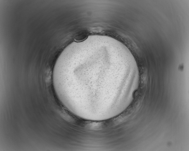 X0000116890081201001121352