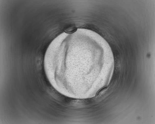 X0000116890082201001121352