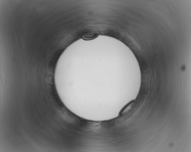 X0000116890083201001121352