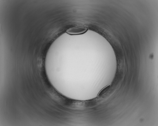 X0000116890084201001121352