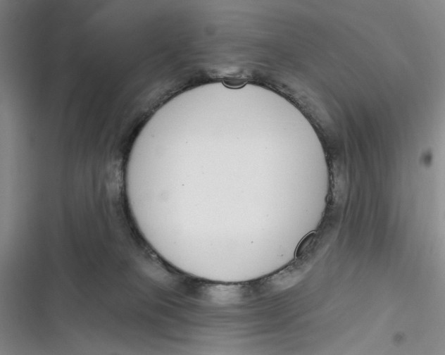 X0000116890085201001121352