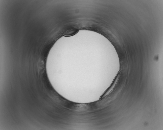 X0000116890087201001121352