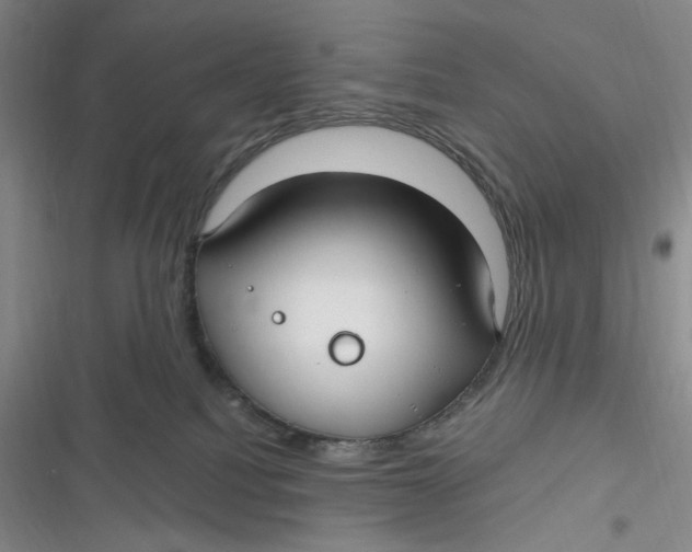 X0000116890088201001121352