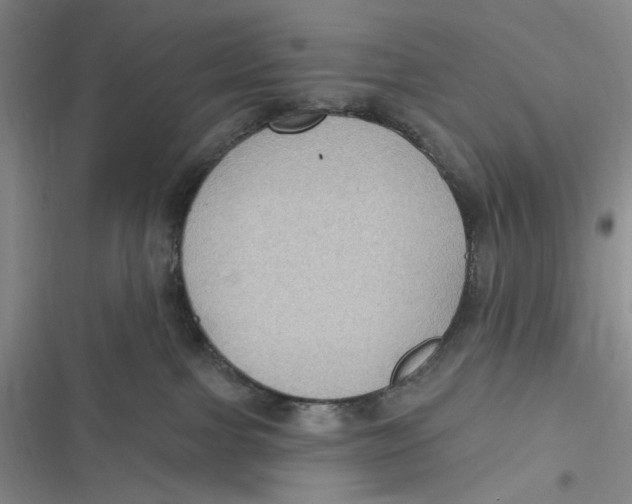 X0000116890091201001121352