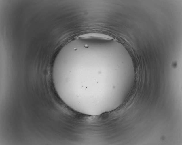 X0000116890092201001121352