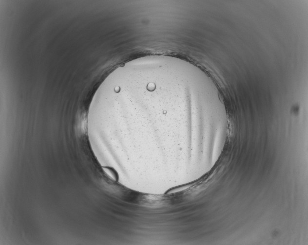 X0000116890095201001121352