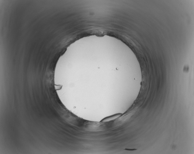 X0000116890096201001121352