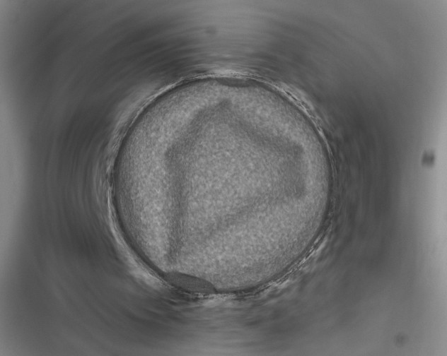 X0000116890097201001121352