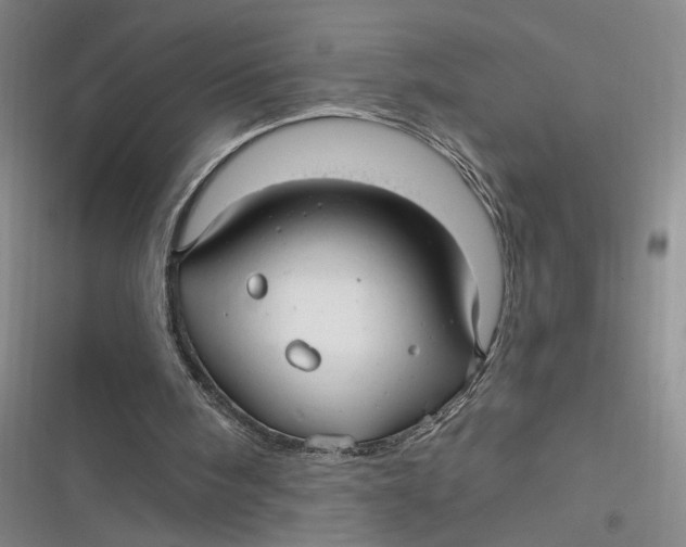 X0000116890098201001121352