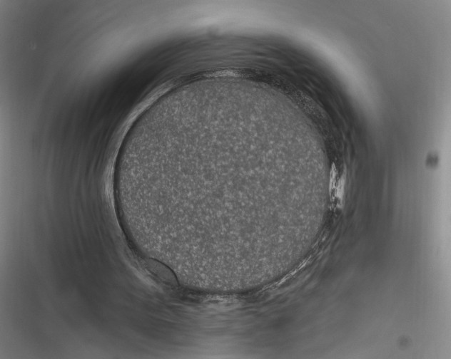 X0000116890099201001121352