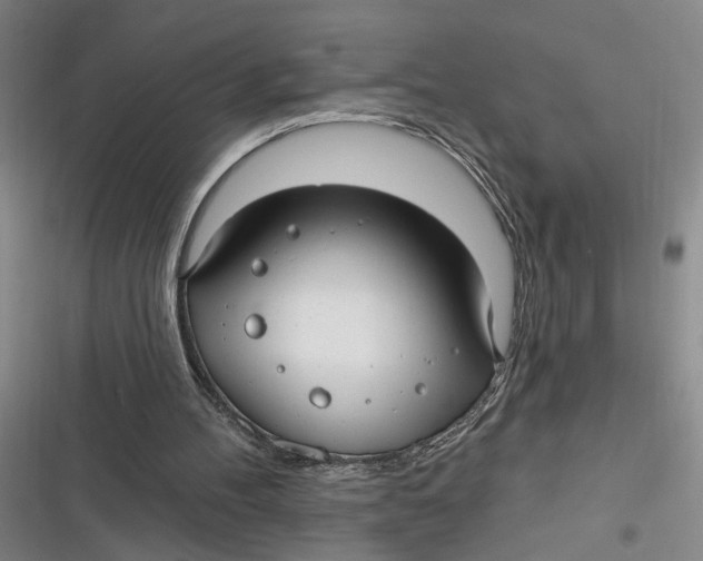 X0000116890100201001121352