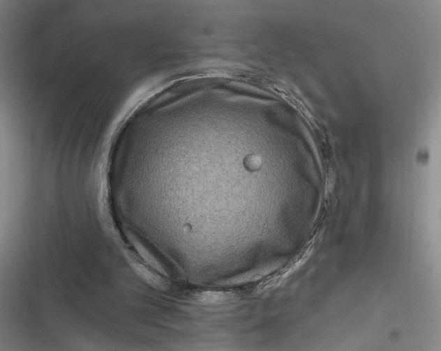 X0000116890101201001121352