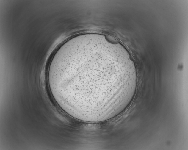 X0000116890102201001121352