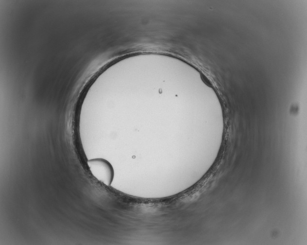 X0000116890103201001121352