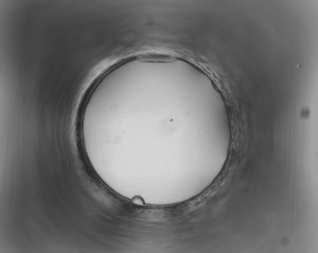 X0000116890104201001121352