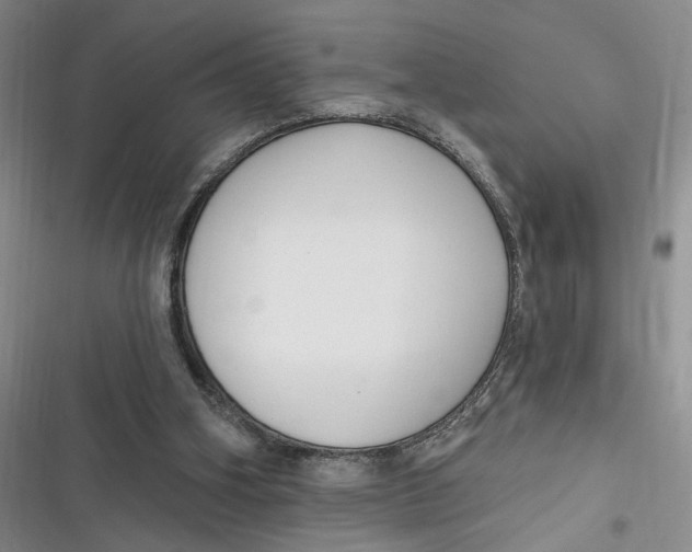 X0000116890106201001121352