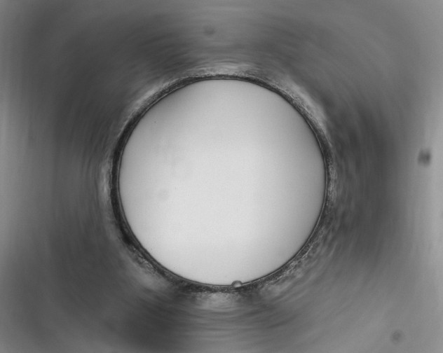 X0000116890107201001121352