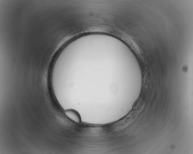 X0000116890108201001121352