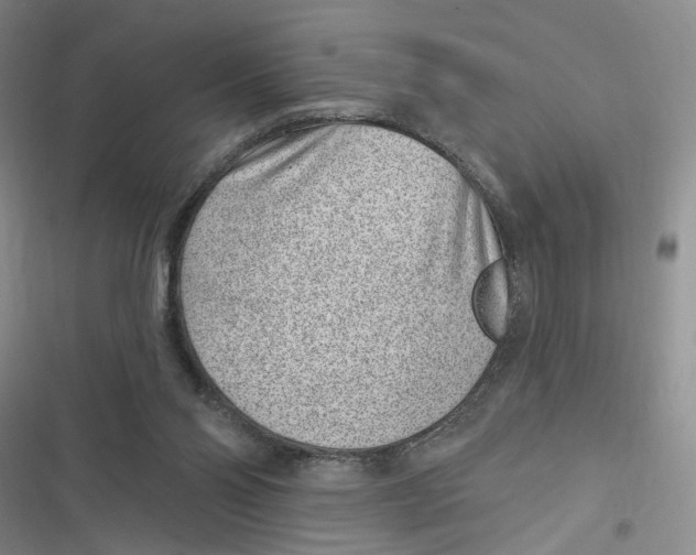 X0000116890110201001121352