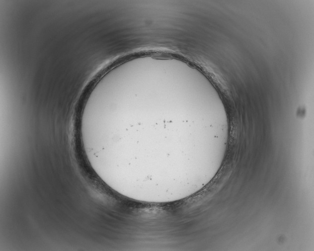 X0000116890112201001121352